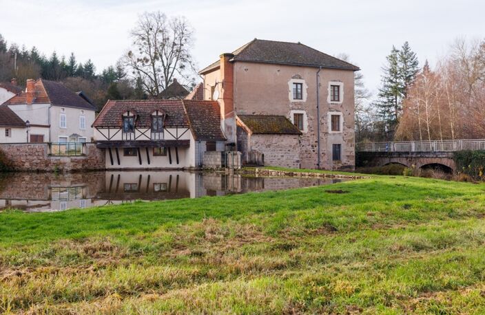 Exclusivité Propriété à vendre 10 pièces OZOLLES (71)-Ancien Moulin avec droit d'eau — photo 2