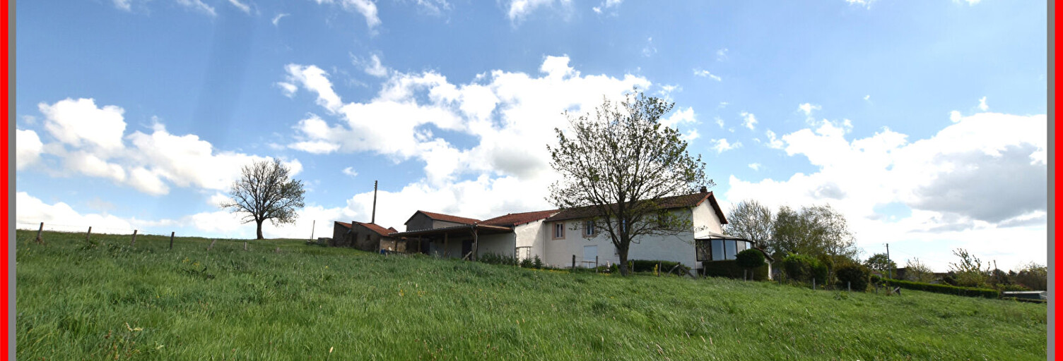 Maison 7 Pièces 210 m² à vendre à Saint-Martin-d'Estréaux (42620)