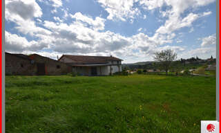 Maison 7 Pièces 210 m² à vendre à Saint-Martin-d'Estréaux (42620)