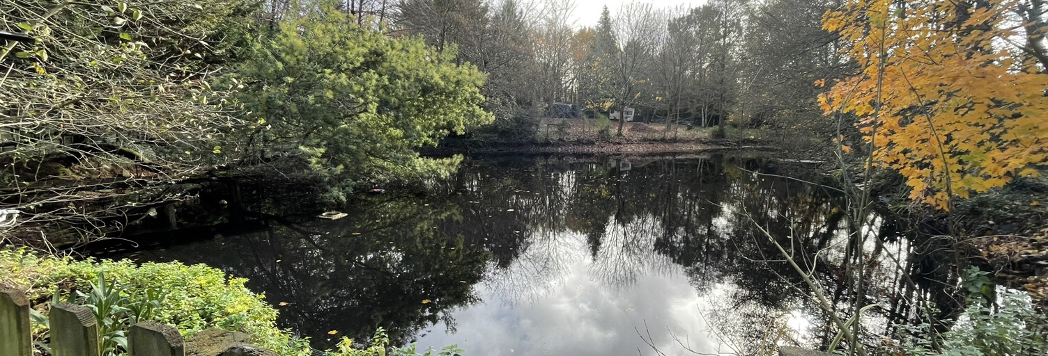 Terrain  4142 m² à vendre à Sainte-Foy (85150)