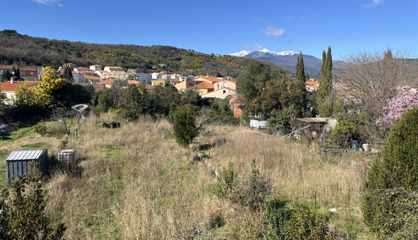 Immeuble 10 pièces  à vendre Céret 66400