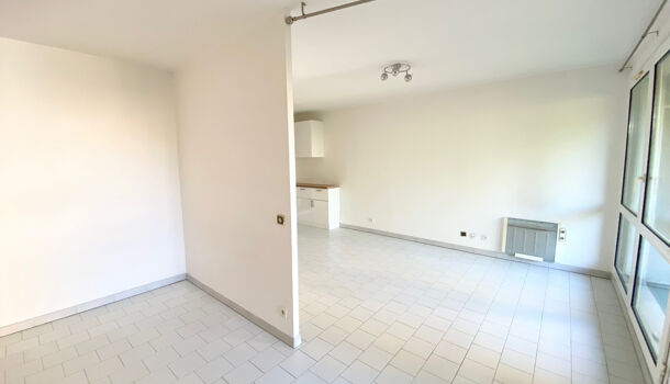 Appartement 1 pièces  à louer Marseille 5eme 13005