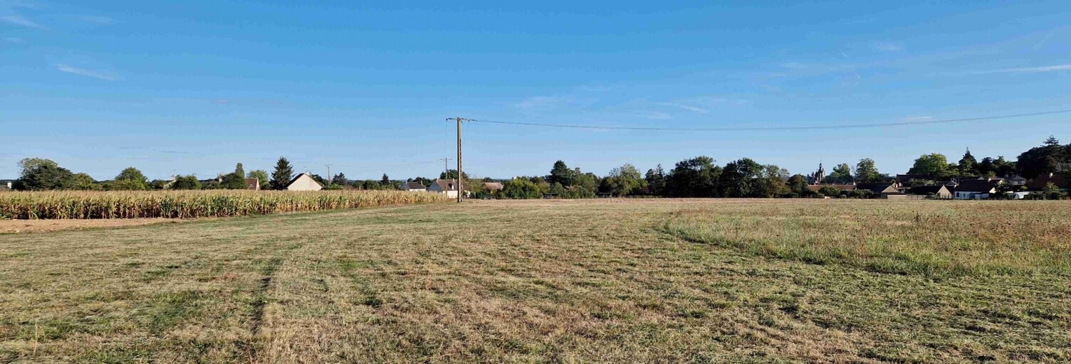 Terrain  21231 m² à vendre à Cloyes-les-Trois-Rivières (28220)