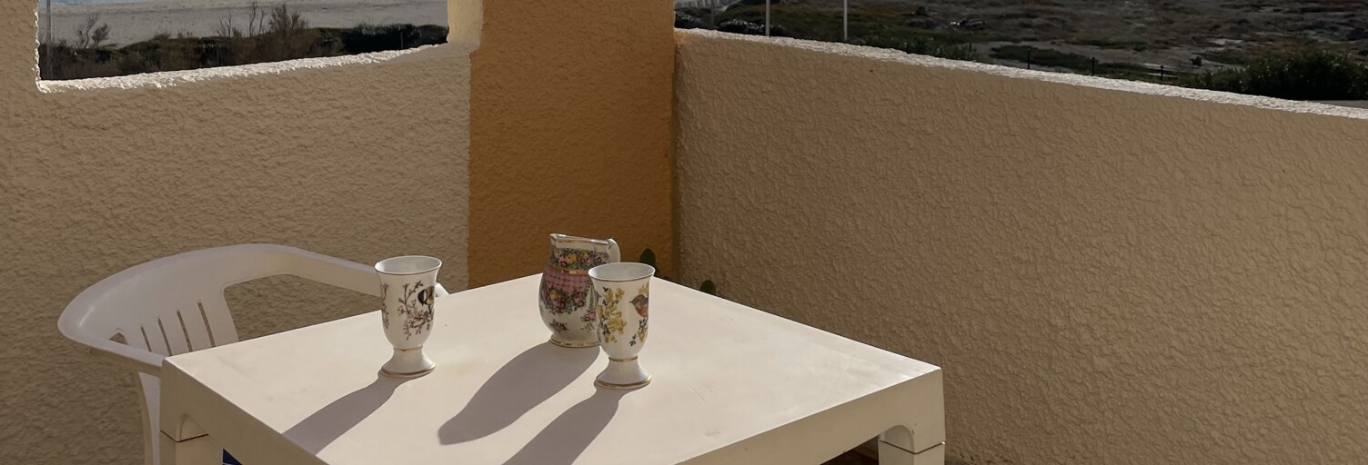 Appartement 1 Pièce 20 m² à vendre à Leucate (11370)