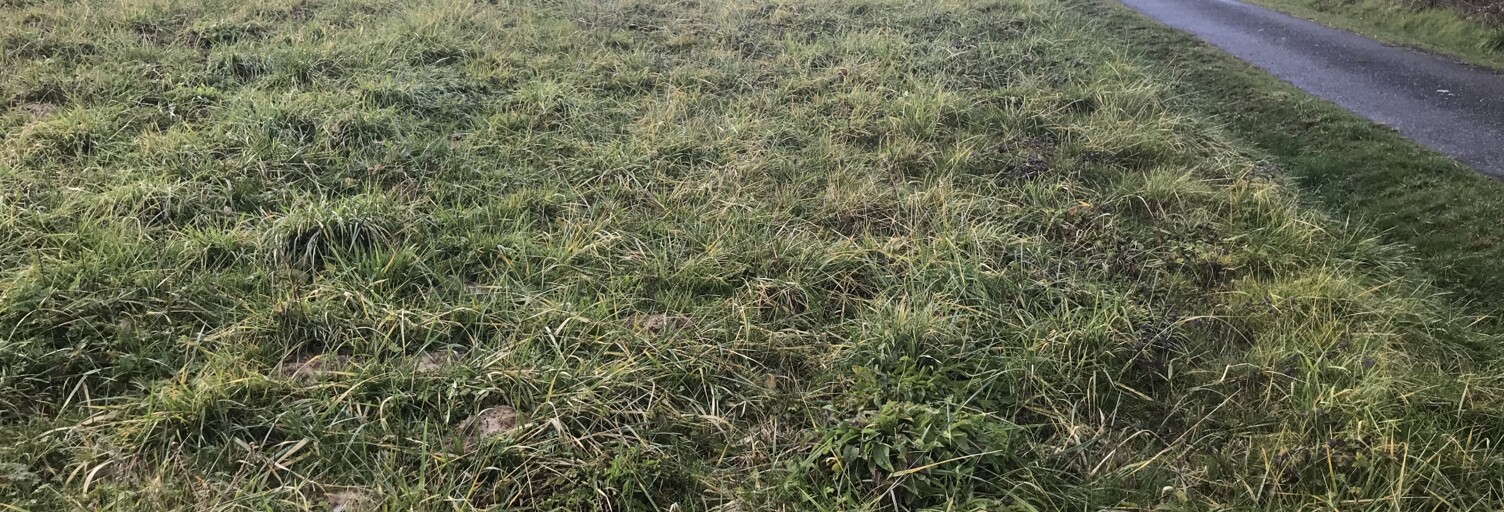 Terrain  3744 m² à vendre à Ladevèze-Rivière (32230)