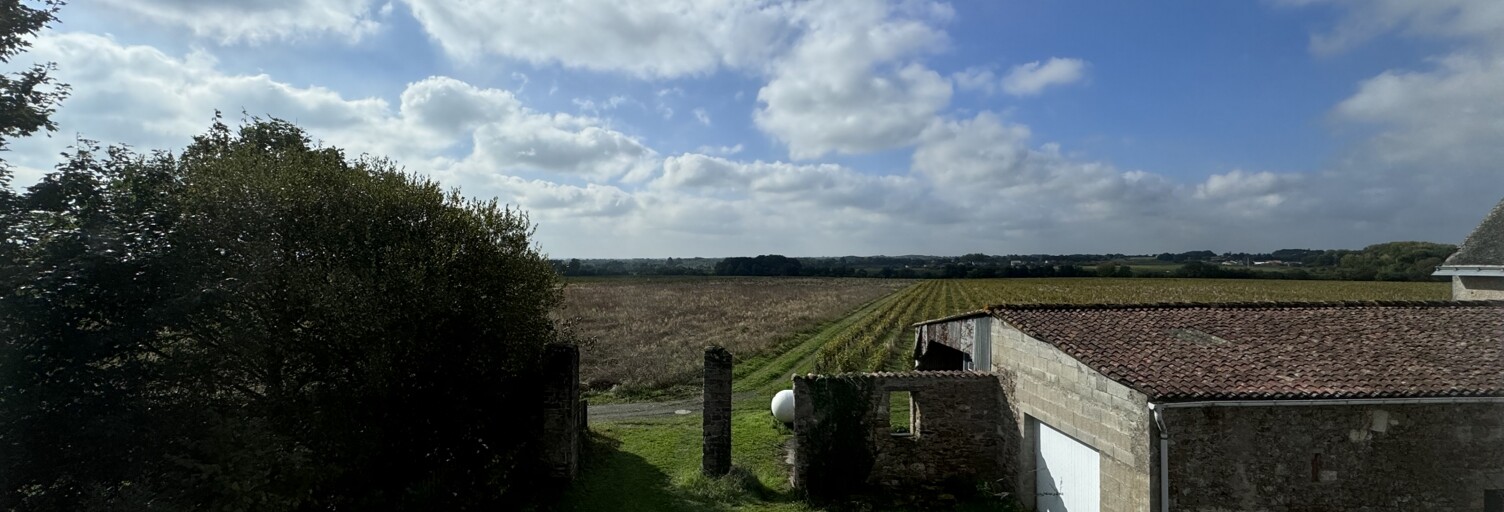 Maison 3 Pièces 77 m² à vendre à Monnières (44690)