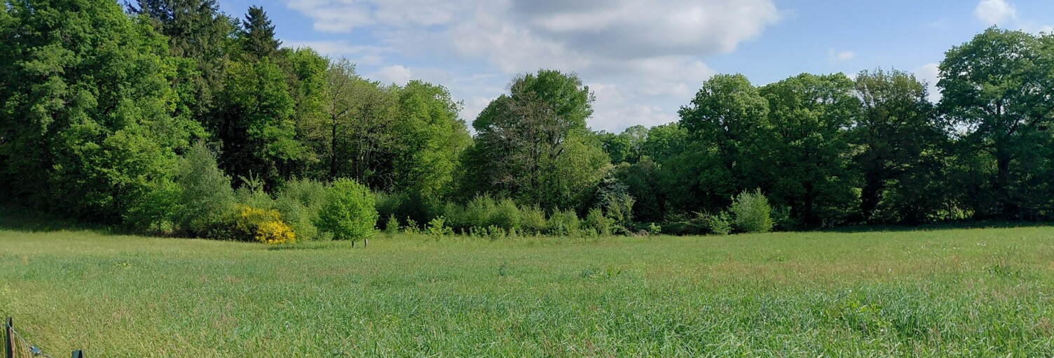 Terrain  1500 m² à vendre à Royères (87400)