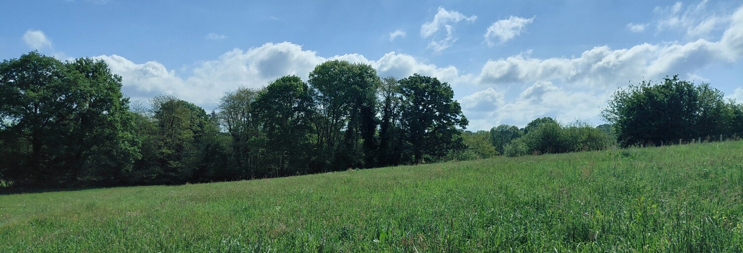 Terrain  1190 m² à vendre à Royères (87400)