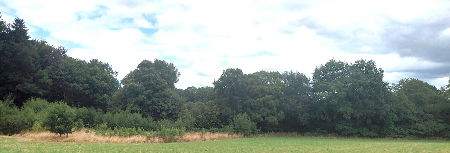 Terrain  1700 m² à vendre à Royères (87400)