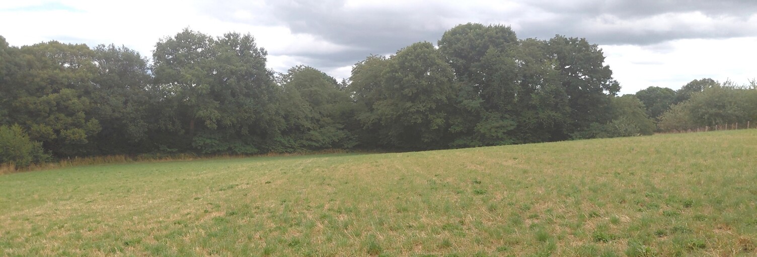 Terrain  1420 m² à vendre à Royères (87400)