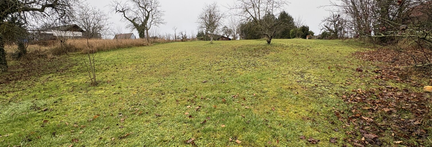 Terrain  1768 m² à vendre à Saverne (67700)