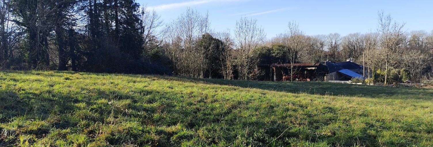Terrain  2005 m² à vendre à Saint-Pierre-de-Trivisy (81330)
