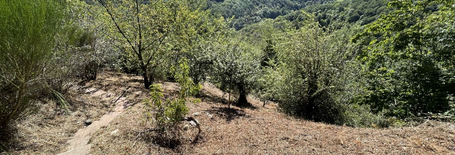 Maison 4 Pièces 128 m² à vendre à La Bastide (66110)