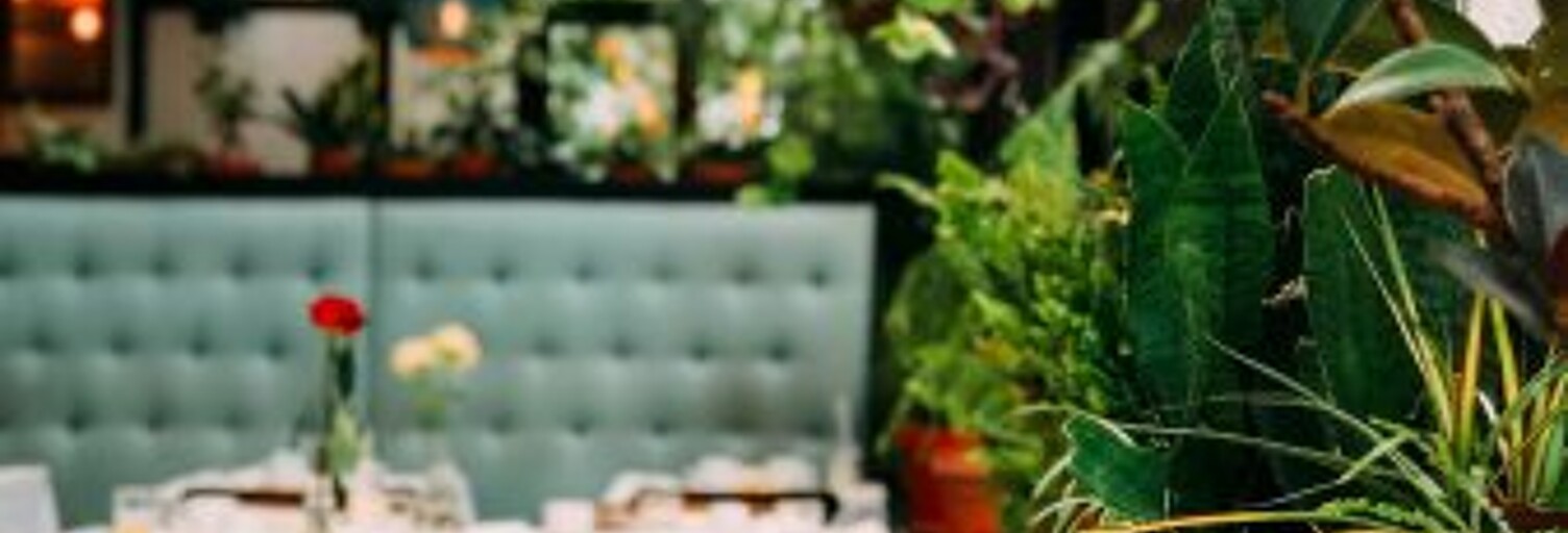 Commerce  241 m² à vendre à Carcassonne (11000)