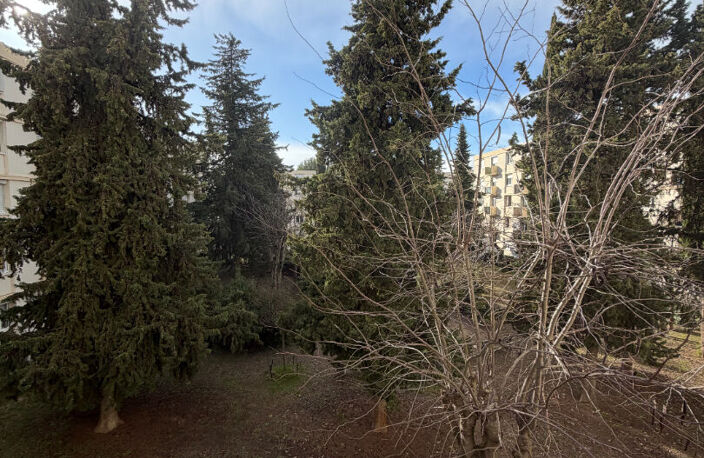 T3 - CASTELNAU-LE-LEZ — photo 5