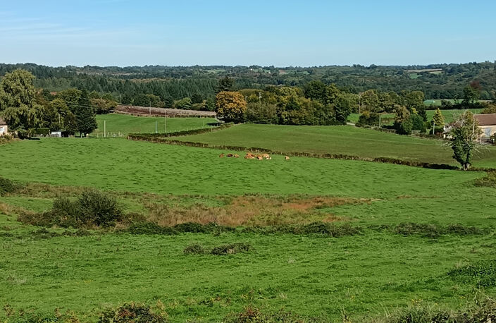 Propriété agricole avec 18,50 hectares, 30 mn Limoges — photo 4