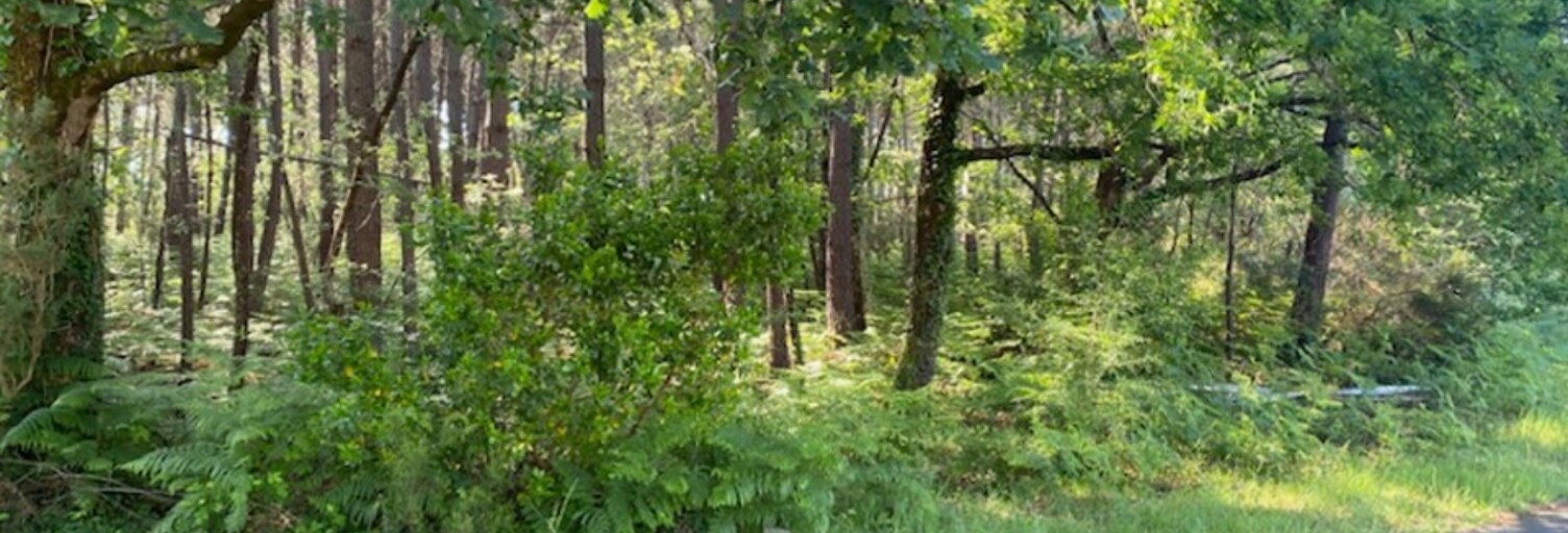 Terrain  650 m² à vendre à Sanguinet (40460)