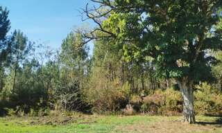 Terrain  491 m² à vendre à Castres-Gironde (33640)