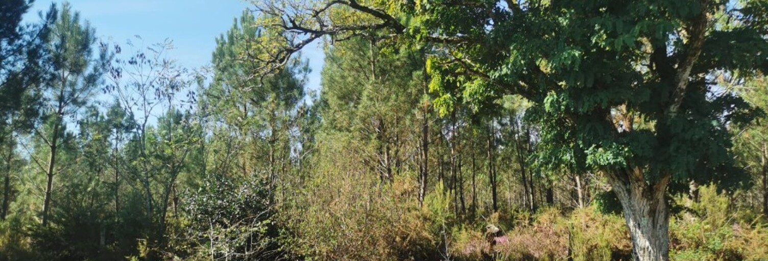 Terrain  360 m² à vendre à Le Barp (33114)