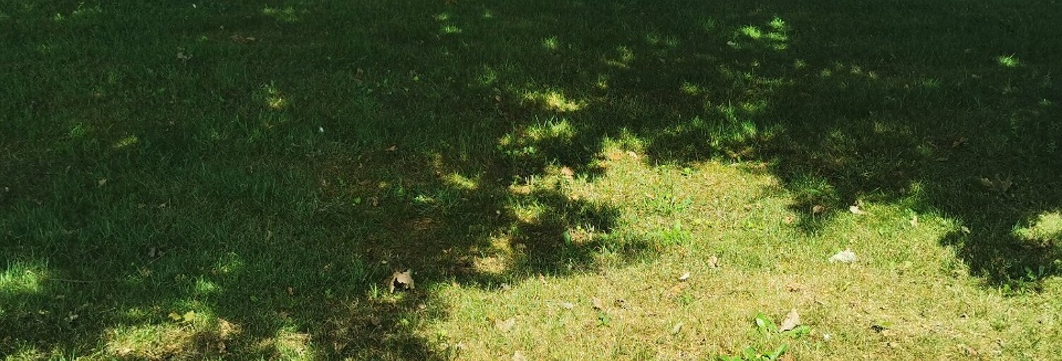 Terrain  725 m² à vendre à Le Temple (33680)