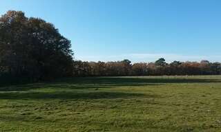 Terrain  563 m² à vendre à Marmande (47200)