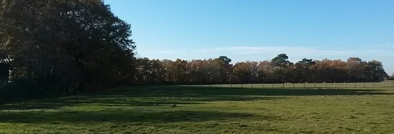 Terrain  563 m² à vendre à Marmande (47200)