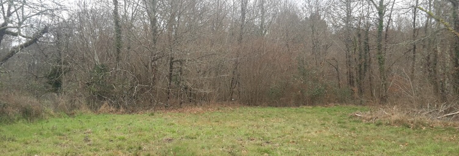 Terrain  600 m² à vendre à Marmande (47200)