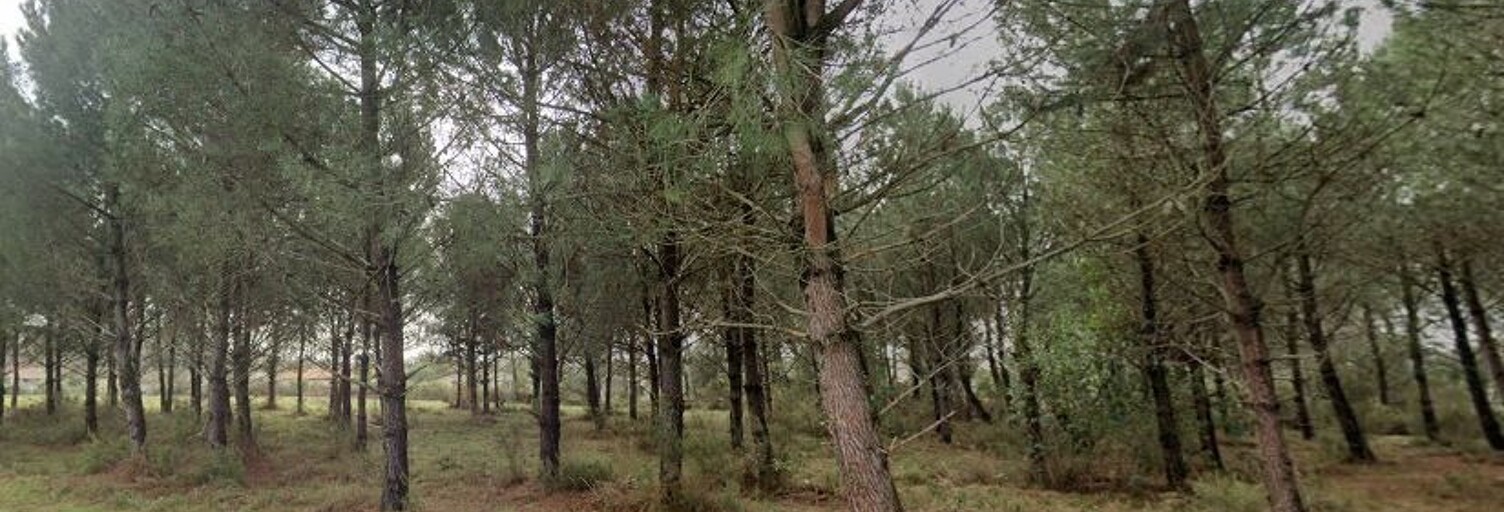 Terrain  560 m² à vendre à Andernos-les-Bains (33510)