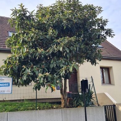 Maison 6 pièces 495000 €