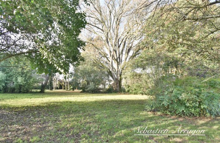 Maison de maître du XIXᵉ siècle à Villeneuve-sur-Lot – 460 m² – Parc de 8 300 m² – Piscine – Centre-ville à pied — photo 4