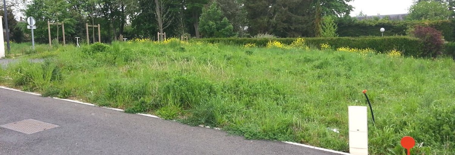 Terrain   m² à vendre à Neuvy-le-Roi (37370)