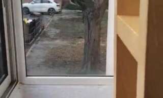 Appartement 4 Pièces 61 m² à louer à Arles (13200)