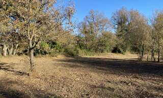 Maison 90 m² à construire Rians (83560)