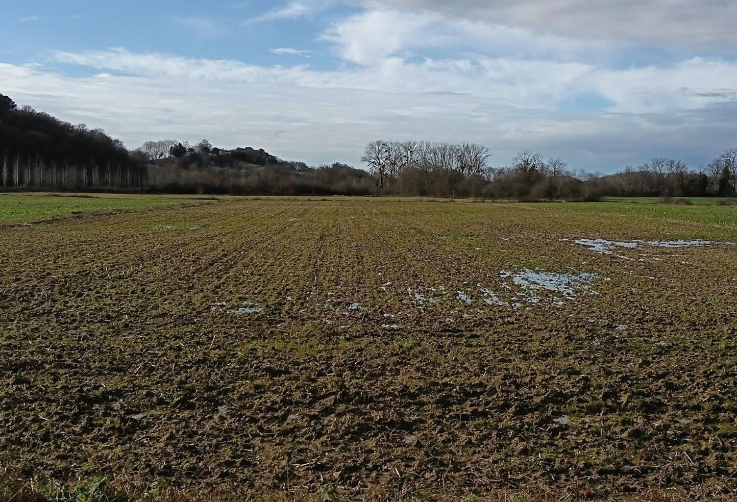 Terrain agricole — photo 1