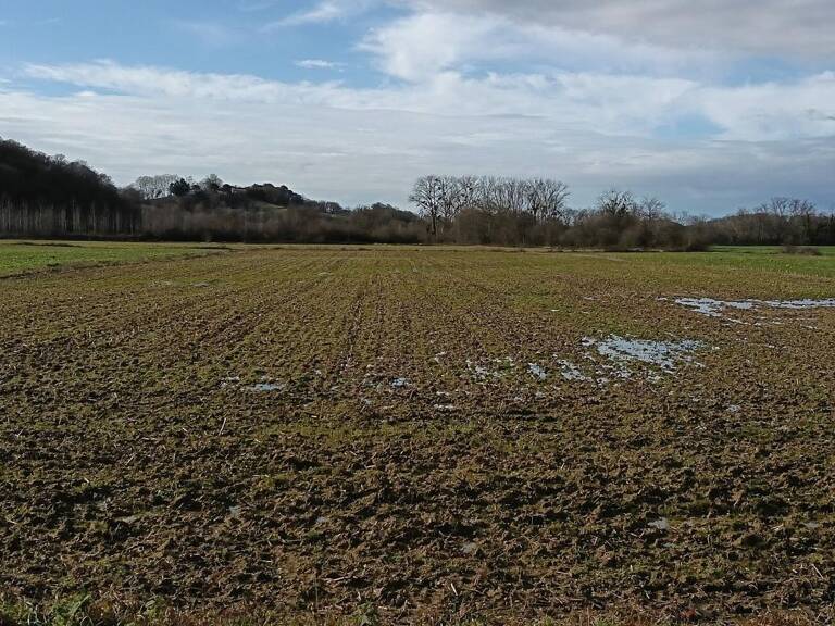 Terrain agricole — photo 1