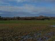 Terrain agricole — photo 2