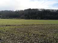 Terrain agricole — photo 3