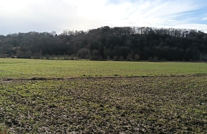 Terrain agricole — photo 3