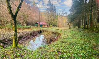 Terrain  3197 m² à vendre à Willer-sur-Thur (68760)