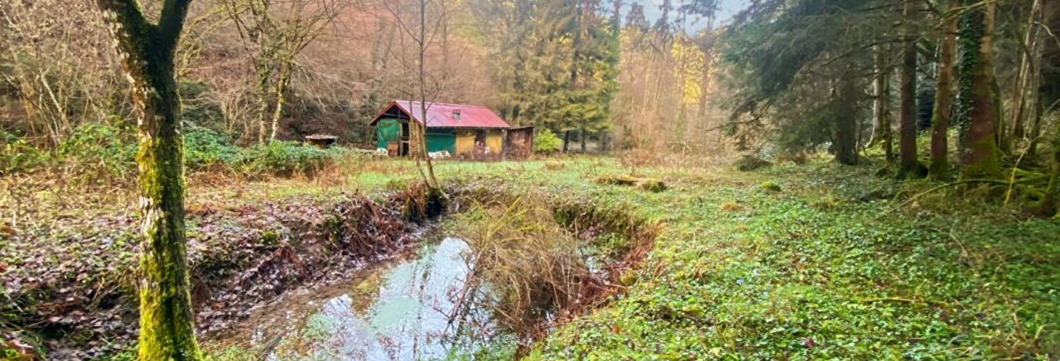 Terrain  3197 m² à vendre à Willer-sur-Thur (68760)