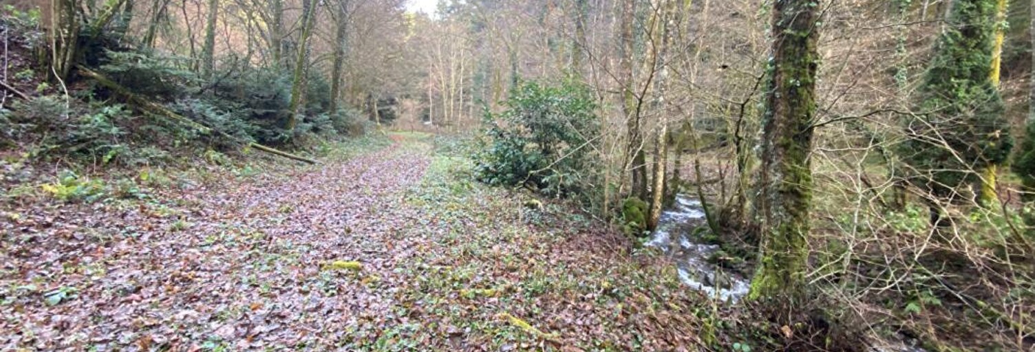 Terrain  3197 m² à vendre à Willer-sur-Thur (68760)