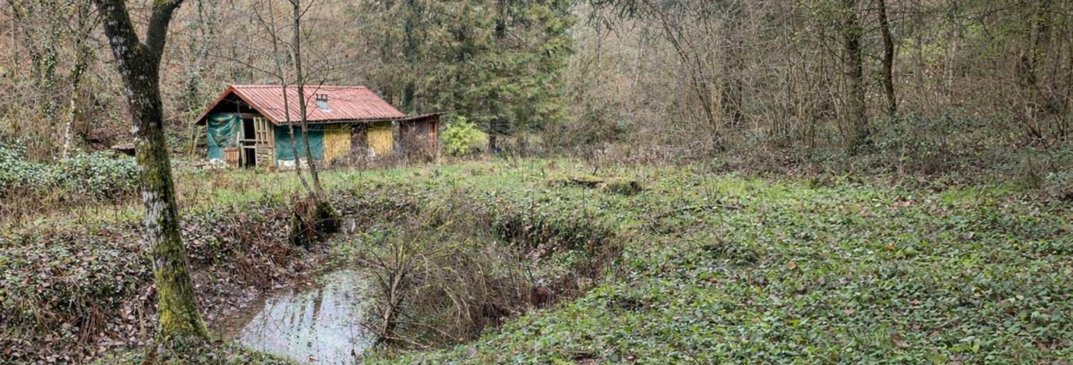 Terrain  3197 m² à vendre à Willer-sur-Thur (68760)