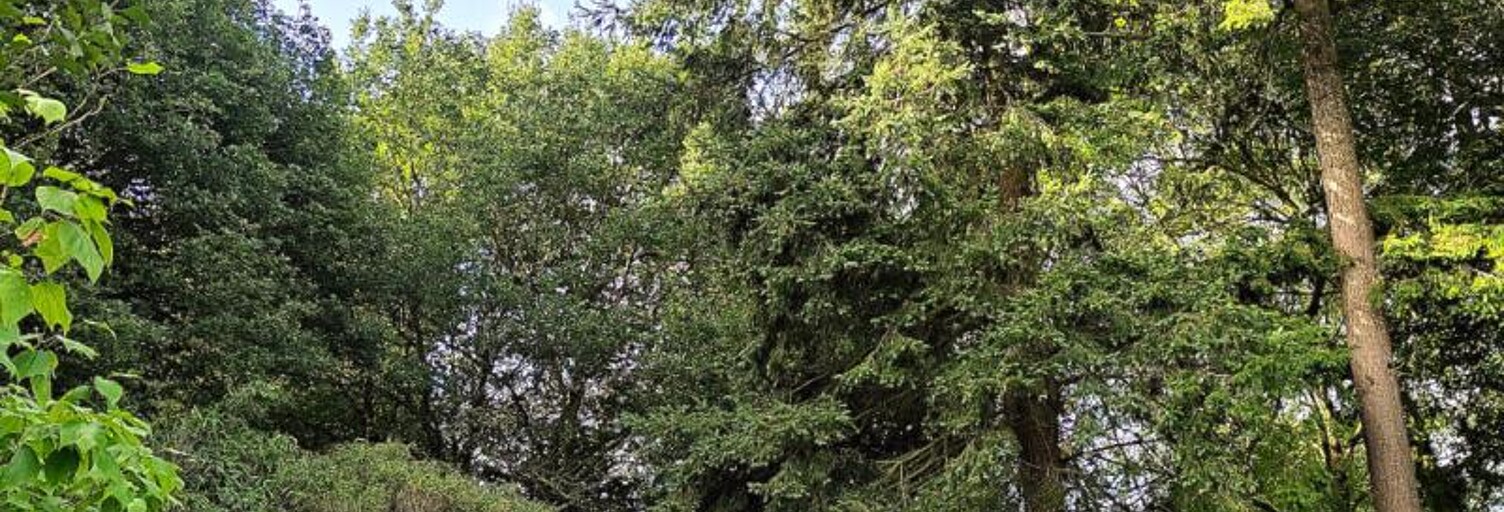 Maison 9 Pièces 300 m² à vendre à Pontivy (56300)