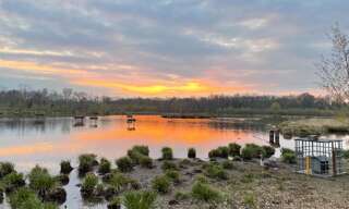 Maison 32 Pièces 835 m² à vendre à Brinon-sur-Sauldre (18410)