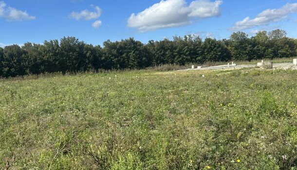 Villa / Maison 4 pièces  à vendre Jarne (La) 17220