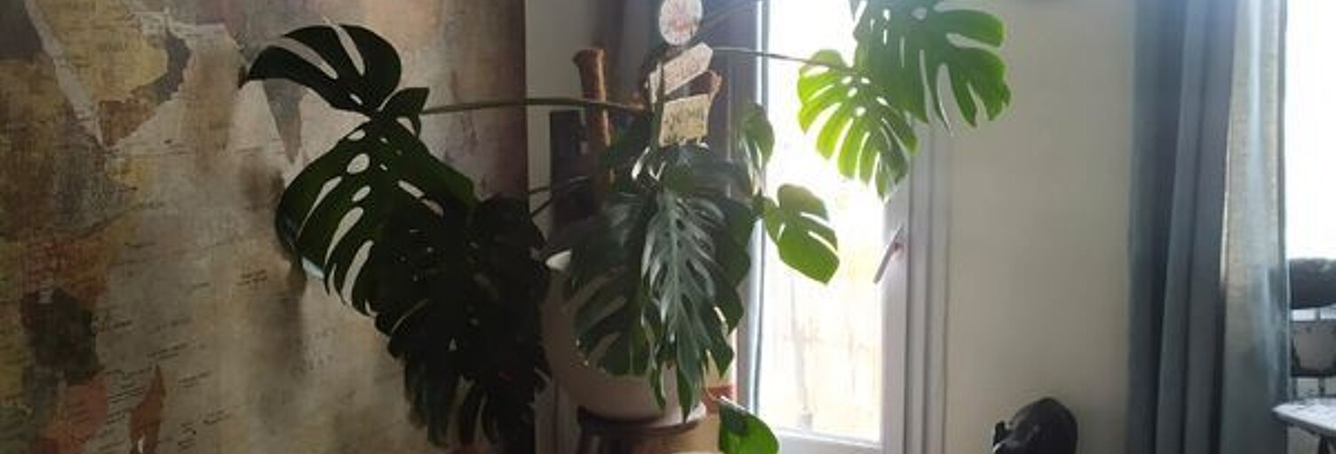 Appartement 4 Pièces 70 m² à louer à Toulouse (31000)