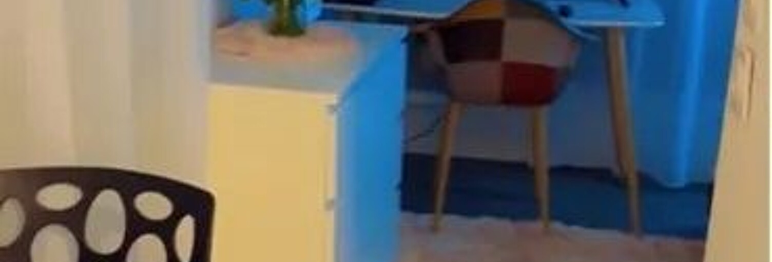 Appartement 1 Pièce 19 m² à louer à Villeurbanne (69100)