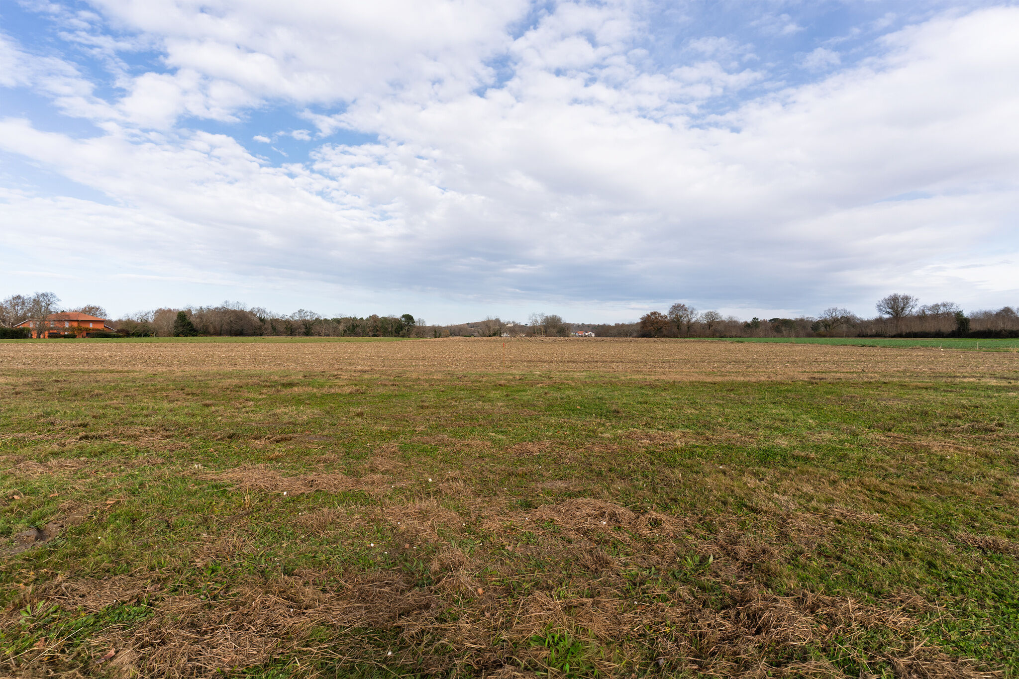 Terrain  à vendre Saint-Martin-de-Hinx 40390