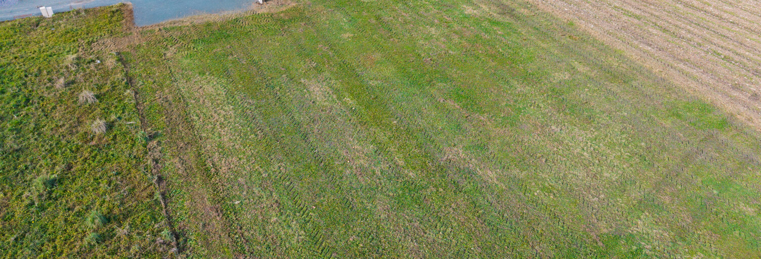 Terrain  1703 m² à vendre à Saint-Martin-de-Hinx (40390)