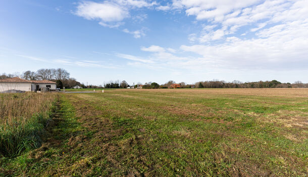 Terrain  à vendre Saint-Martin-de-Hinx 40390